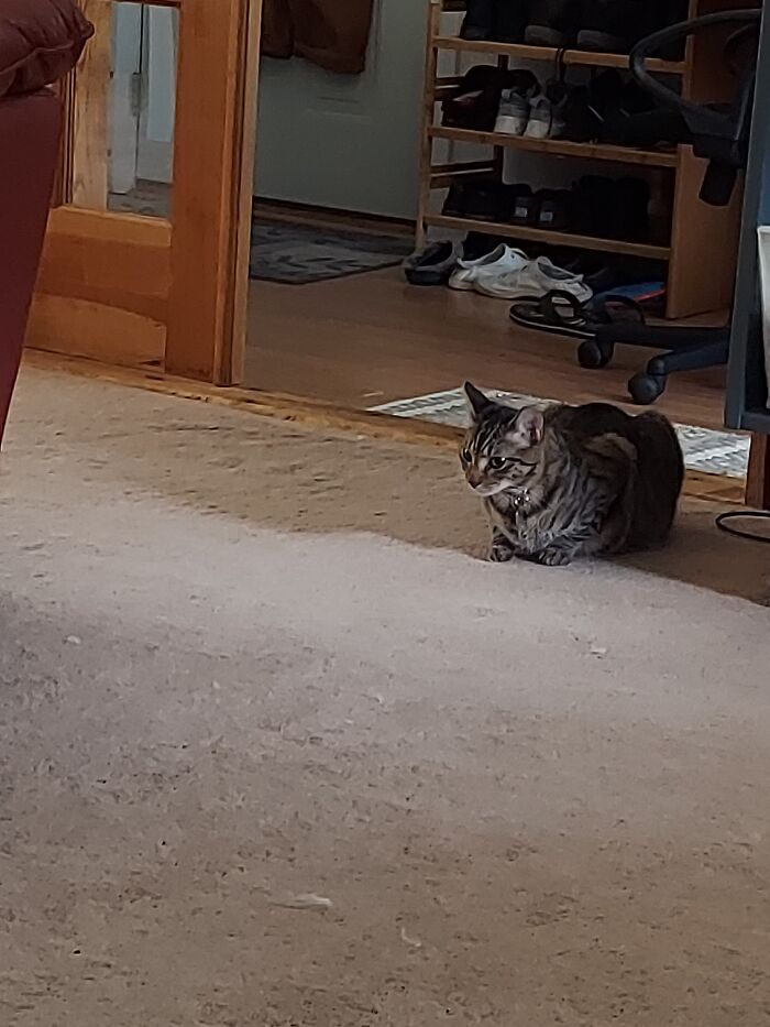 Sage Is A Good Little Loaf