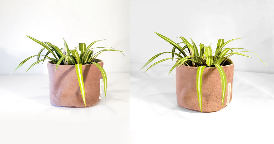 I Make Paper Plants And You Can Too I Make Paper Plants And You Can Too