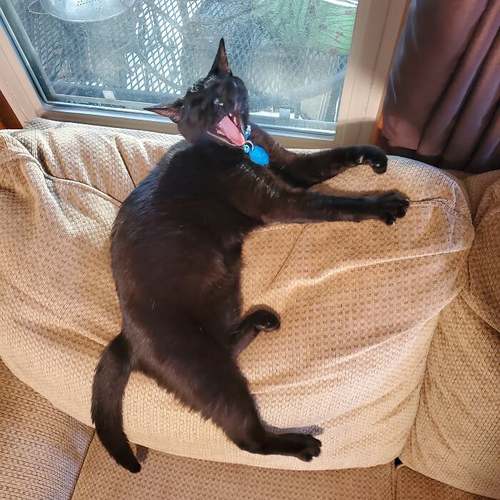 Emmalee Is Tired But Her Yelling Face Is Very Similar To This!