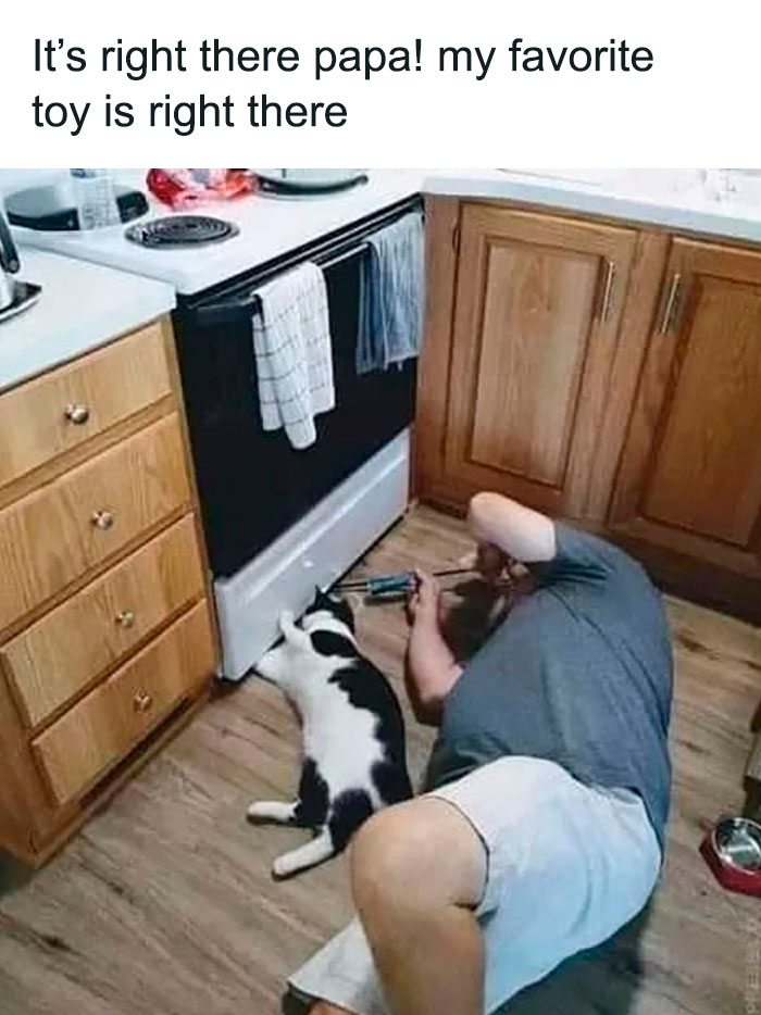 Cute-Wholesome-Blessed-Pics