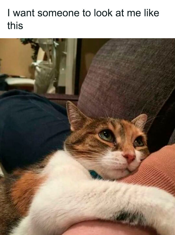 Cute-Wholesome-Blessed-Pics