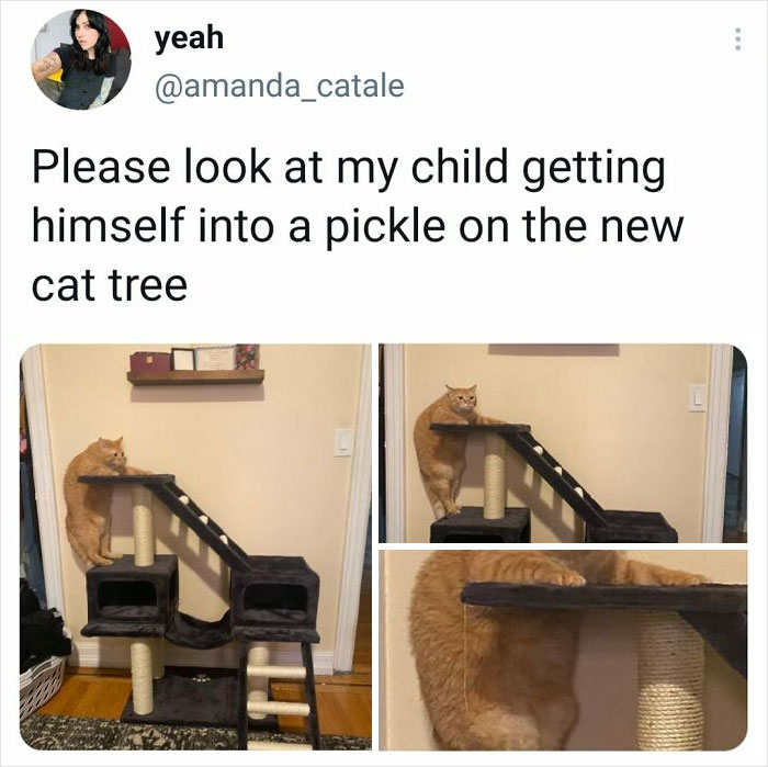 Cute-Wholesome-Blessed-Pics