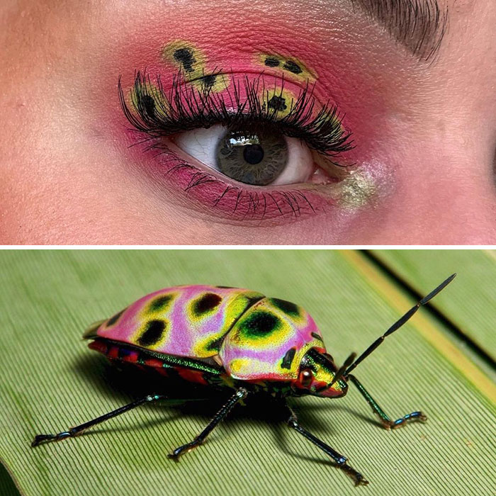 Bug-Inspired-Eye-Makeup-Duran-Jay-Entomakeup