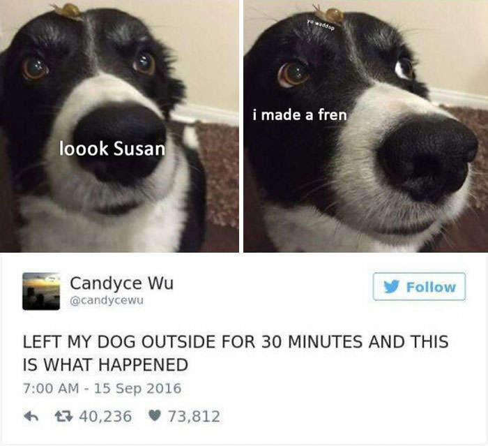 Cute-Wholesome-Blessed-Pics