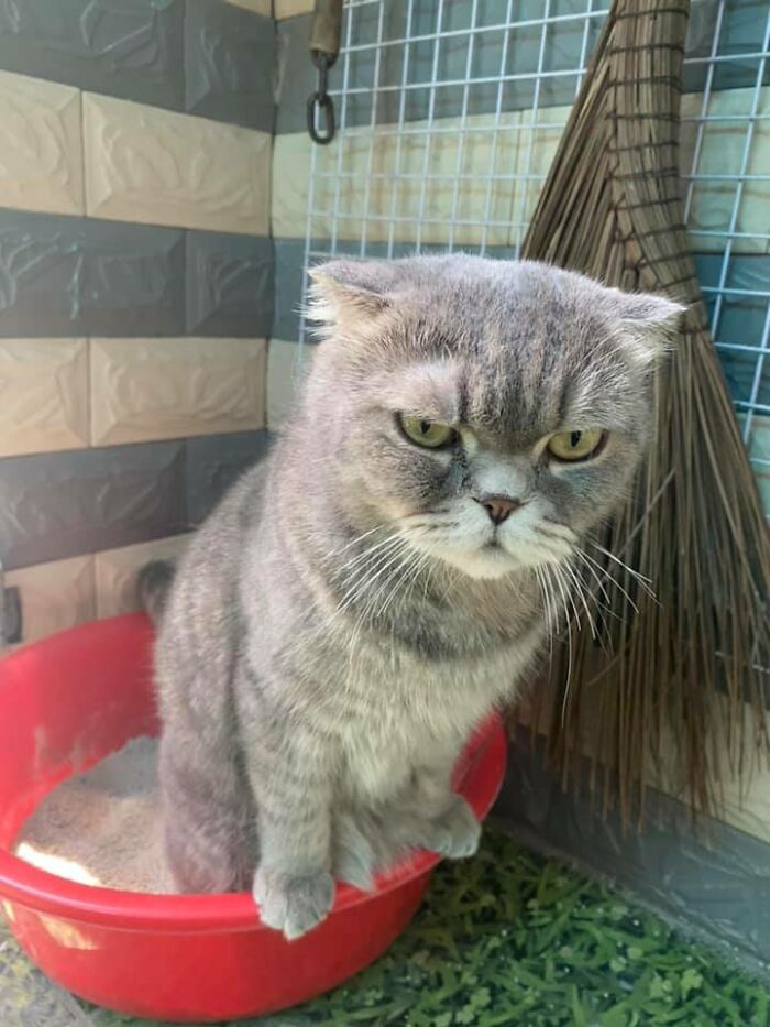 Hooman... It's Private Time