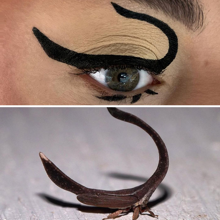Bug-Inspired-Eye-Makeup-Duran-Jay-Entomakeup