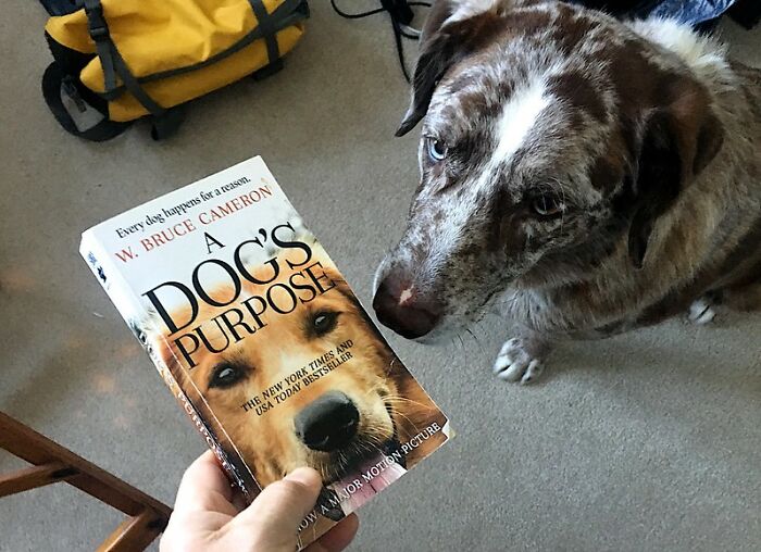 40 Bitter Truths About Being An Adult That Usually Don't Cross Teens' Minds, As Pointed Out In This Viral Thread