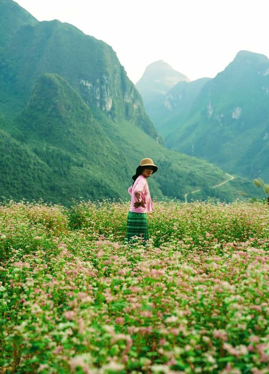 I Spent The Last 17 Months In Vietnam. These Are My 40 Photos