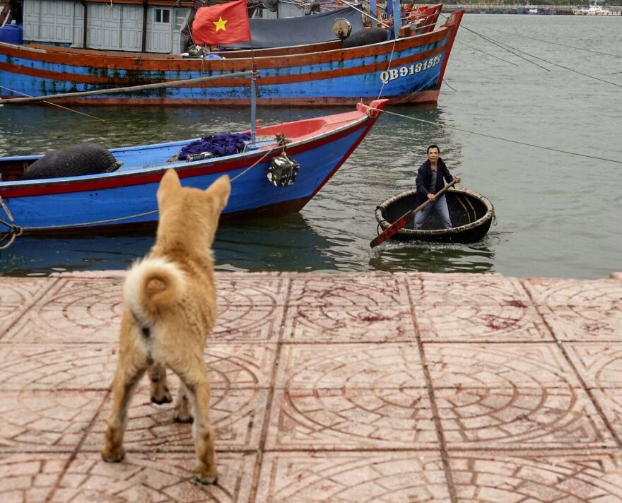 I Spent The Last 17 Months In Vietnam. These Are My 40 Photos