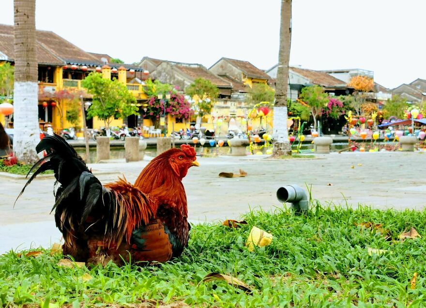 I Spent The Last 17 Months In Vietnam. These Are My 40 Photos