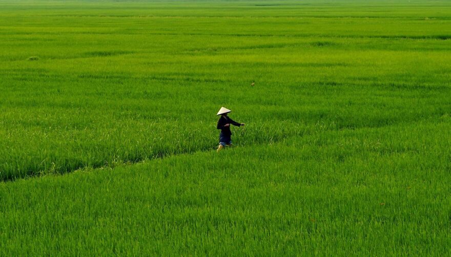 I Spent The Last 17 Months In Vietnam. These Are My 40 Photos