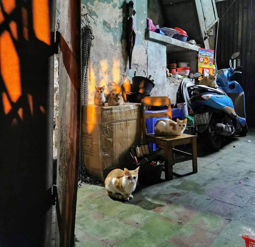 I Spent The Last 17 Months In Vietnam. These Are My 40 Photos