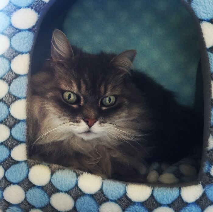 Bozo Wishing His Mum Would Leave Him In Peace