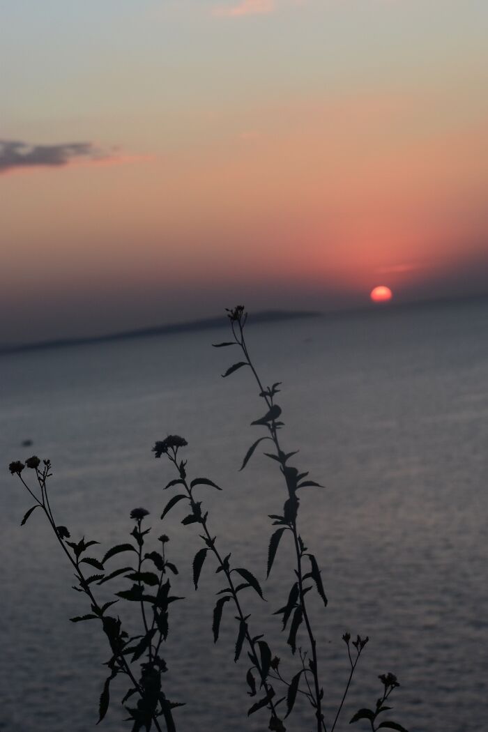 The Sunsets In Tanzania