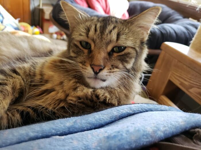 Very Disgruntled That I Woke Him Up