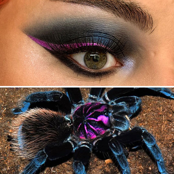 Bug-Inspired-Eye-Makeup-Duran-Jay-Entomakeup
