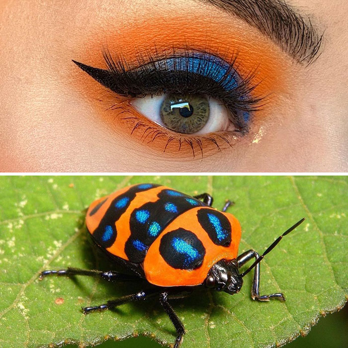Bug-Inspired-Eye-Makeup-Duran-Jay-Entomakeup
