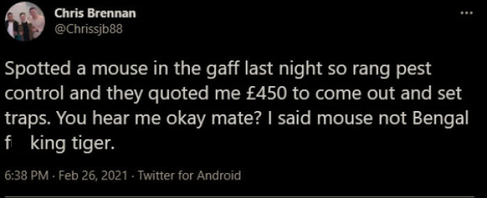 Bengal Tiger Epidemic In Scotland