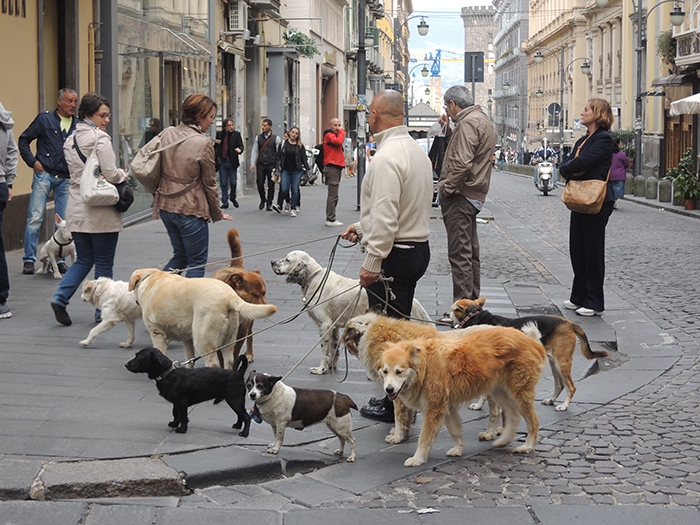 30 Terrible Products That Are Still Sold By The Millions, As Shared By This Online Group