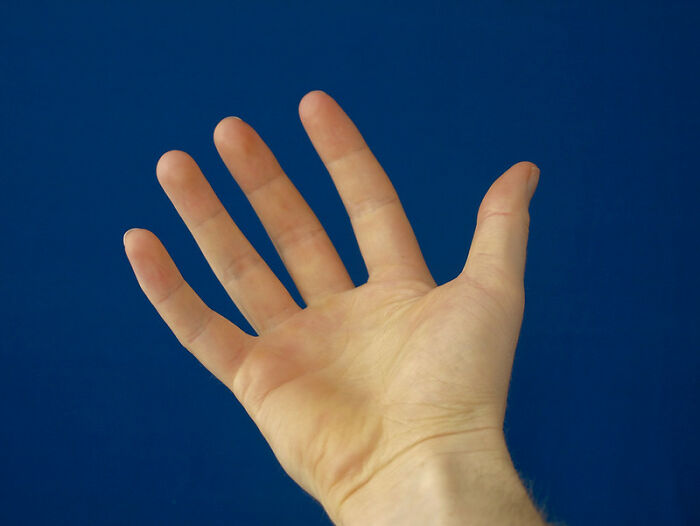 40 Bitter Truths About Being An Adult That Usually Don't Cross Teens' Minds, As Pointed Out In This Viral Thread