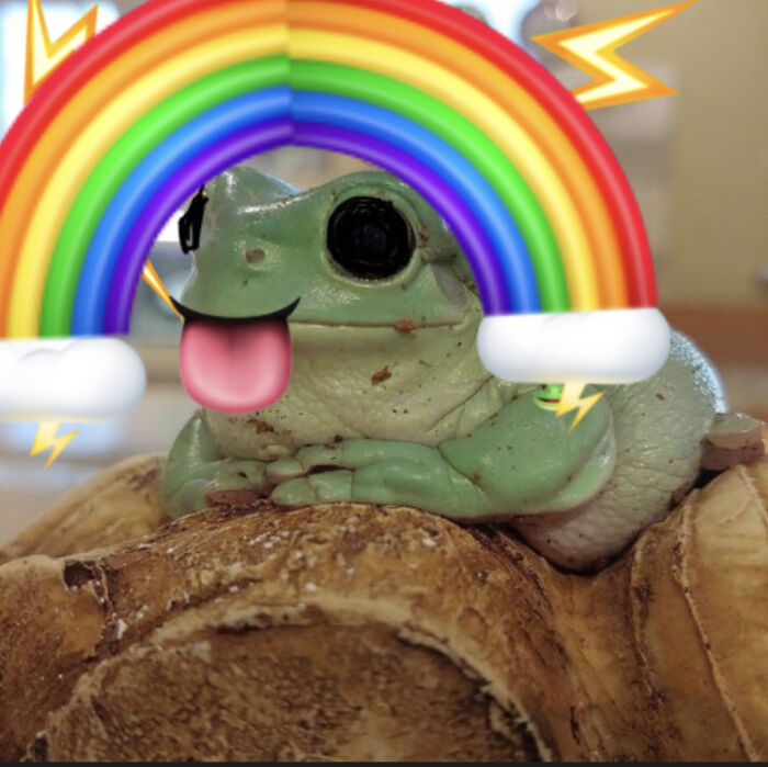 Not The Best 🤷🏻‍♀️