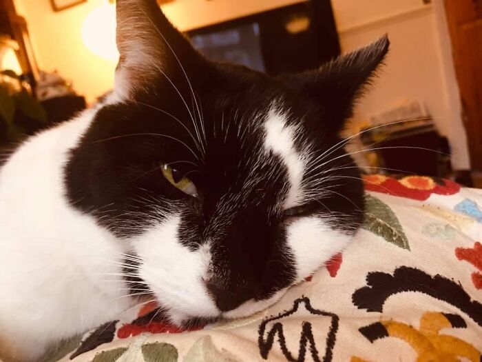 Don’t Disturb Lil’ Bob When He’s Dreaming…