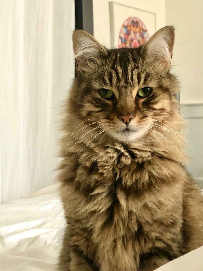 Boots, Ready For His Breakfast, Even If You Aren’t.