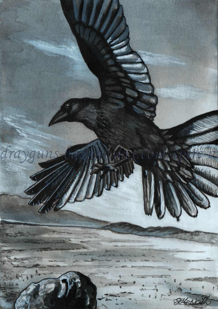 'open Skies' - Mostly Liquid 'Black' Parker Pen Ink Used In A Watercolour Method.