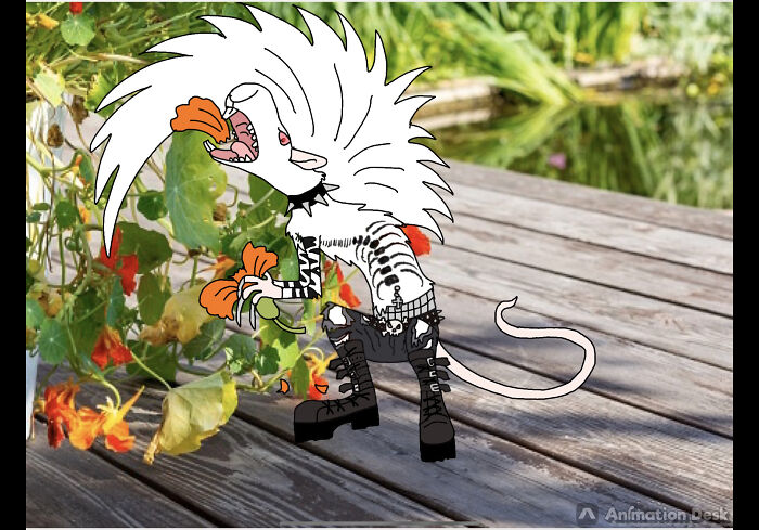 Just A Deathrock Rat-Creature Viciously Devouring Nasturtiums 😅 Probably Weird To Everyone Exept Me Idk Lol