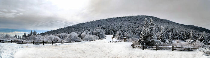 Winter Panorama On Roan Mountain