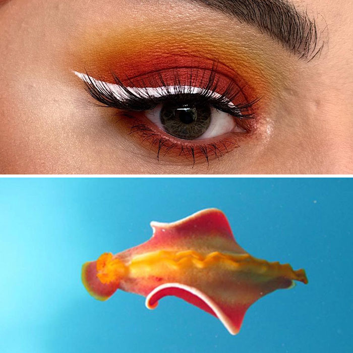 Bug-Inspired-Eye-Makeup-Duran-Jay-Entomakeup