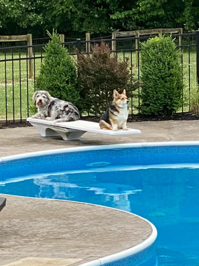 Fenway Disapproves Of 50° Weather For The Extended Weekend