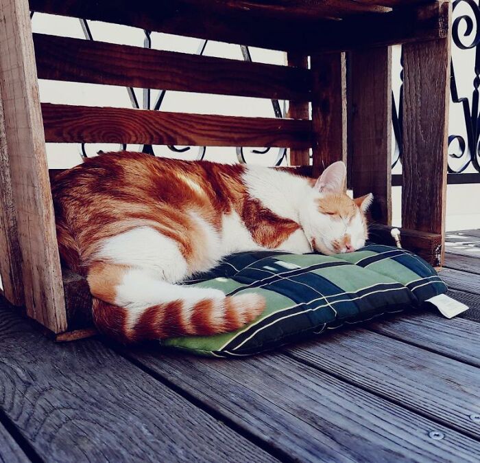 Nice Place On A Hot Summer Day