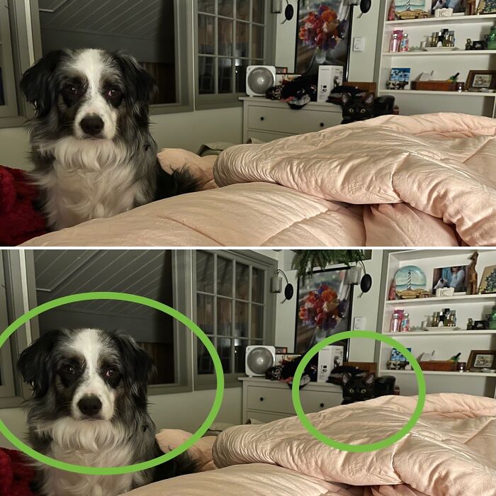 Pay Attention To Me X 2