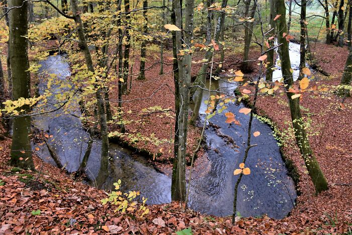 Someone Asked Folks Online "What Is Something A High School Teacher Told You, That You Will Never Forget?", And Here Are 30 Best Answers