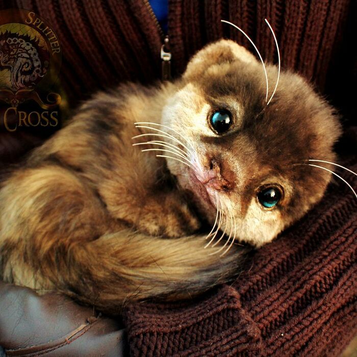 Meet Lee Cross's "Living" Sculptures (135 Pics)