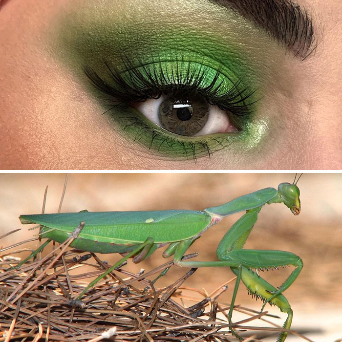 Bug-Inspired-Eye-Makeup-Duran-Jay-Entomakeup