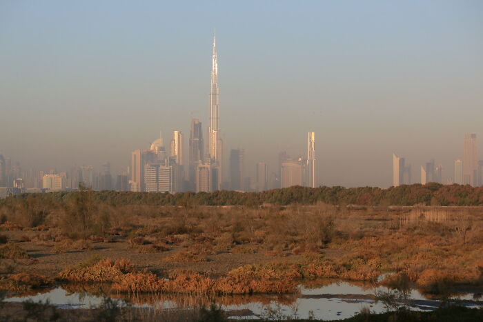 35 Most Interesting Responses To "Without Telling The Name Of Your Country, Where Do You Live?"