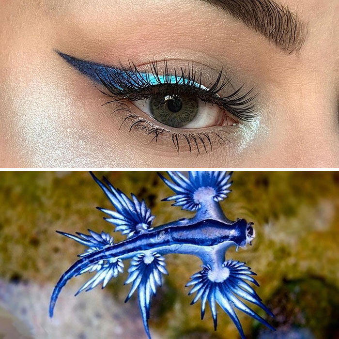 Bug-Inspired-Eye-Makeup-Duran-Jay-Entomakeup