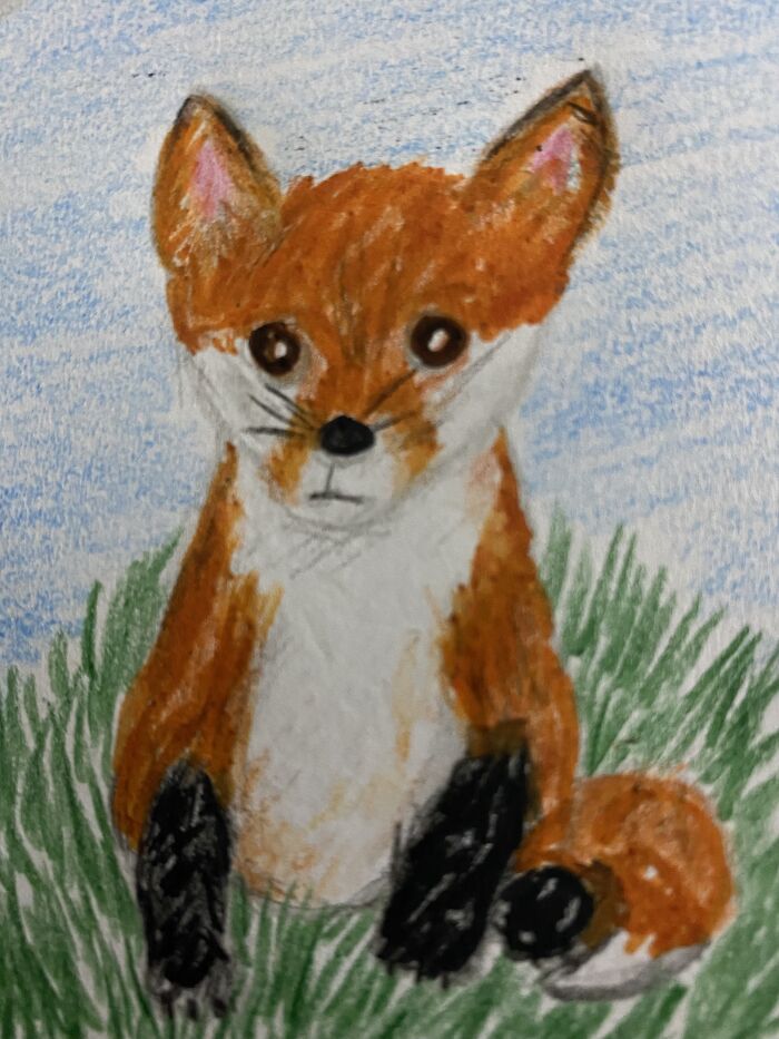Little Fox!