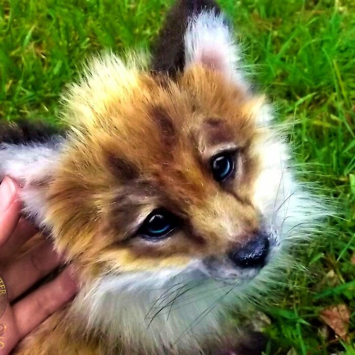 Meet Lee Cross's "Living" Sculptures (135 Pics)