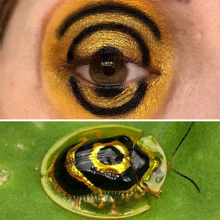 Bug-Inspired-Eye-Makeup-Duran-Jay-Entomakeup