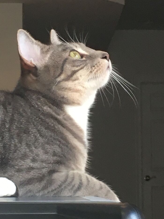 And At Last I See The Light (Or A Bug)