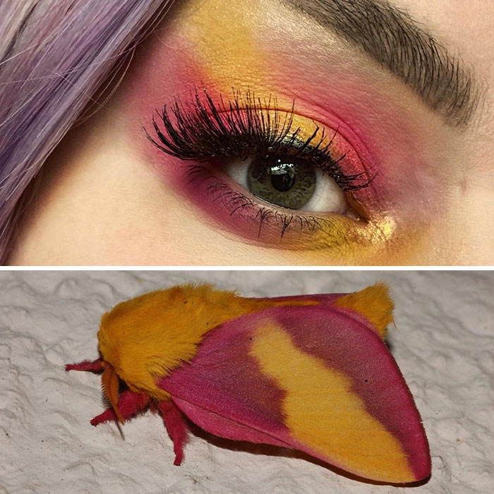Bug-Inspired-Eye-Makeup-Duran-Jay-Entomakeup