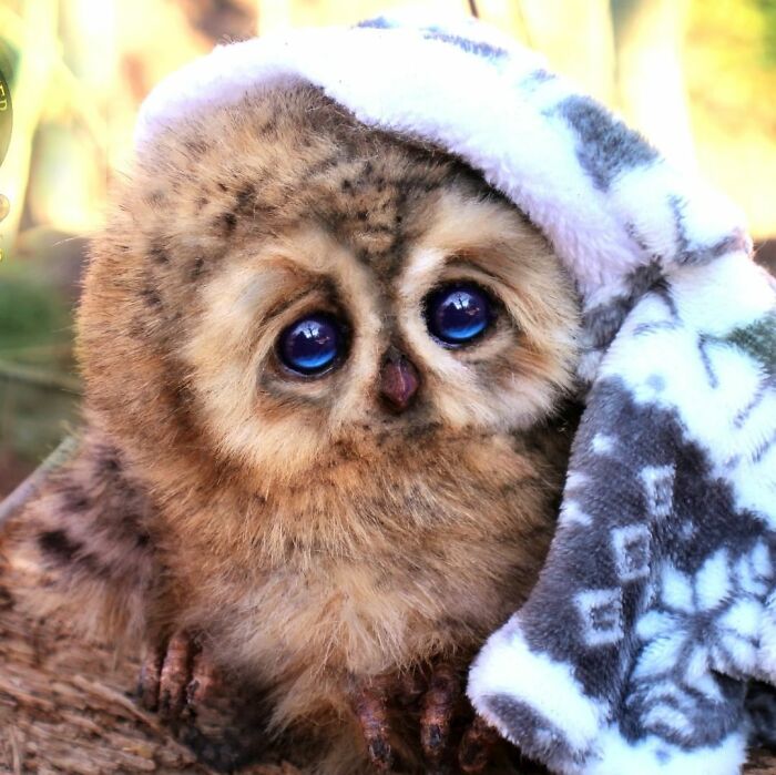 Meet Lee Cross's "Living" Sculptures (135 Pics)