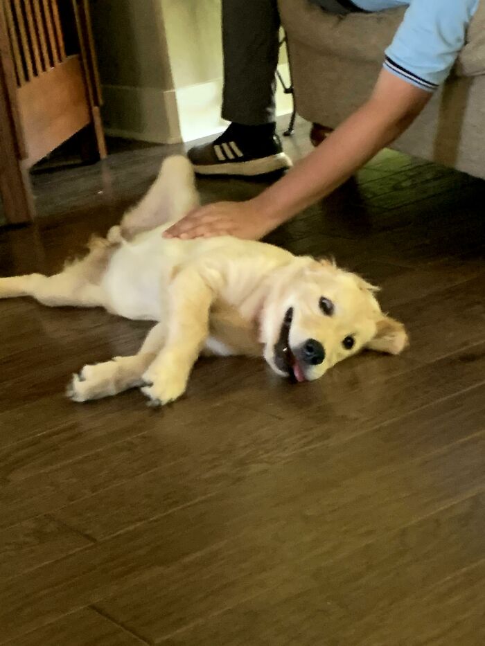 I Loooooooooove This Guy