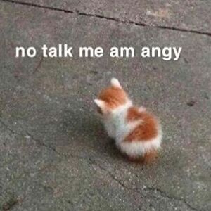 absolutemess198 avatar