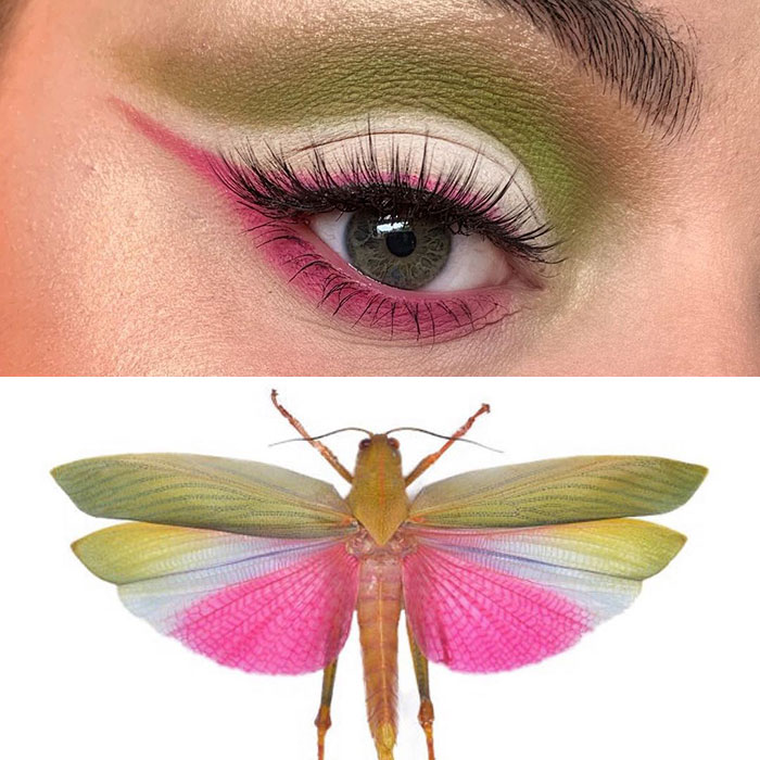 Bug-Inspired-Eye-Makeup-Duran-Jay-Entomakeup