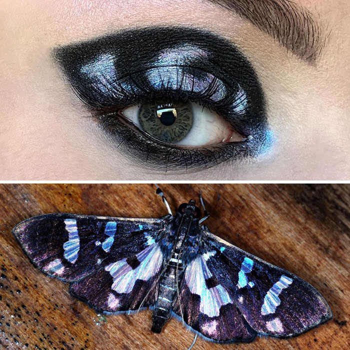 Bug-Inspired-Eye-Makeup-Duran-Jay-Entomakeup