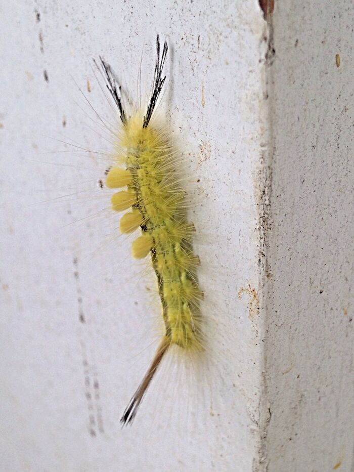 This Guy Is Pretty Rad!!!